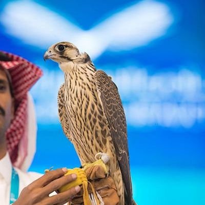💚قلبي الأبوي يدفعني للوقوف مع المظلومين(فلسطین )🇪🇭
مهمتي في الحياة هي الدفاع عنهم،
 لأنني مؤمن بأن جذر الشر والقهر هو أمريكا🇱🇷