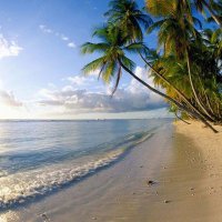 Jhon_555 (@jhon_orla) 's Twitter Profile