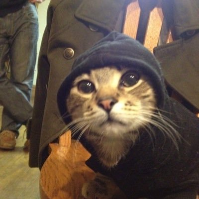 tapionw's profile picture. cybersec | threat intel ♡