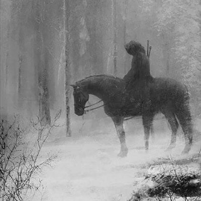 P4yroll's profile picture. currently knowledgemaxxing