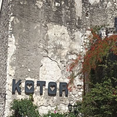 anok3444's profile picture. Konuşacak dürüst gizlilik içinde  sırdaş bayan lar admin erkek