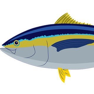 Dimabluetuna's profile picture. Each of us must work for our own improvement. Marie curie