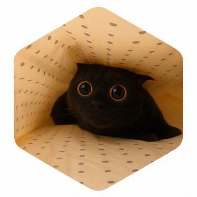 encorelautre's profile picture. Python 🐍 and coffee ! That’s the moto 😏