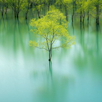 Harlevlkinson's profile picture. God, please give us the courage to accept things for what they are, but to never lose hope that things will always get better.