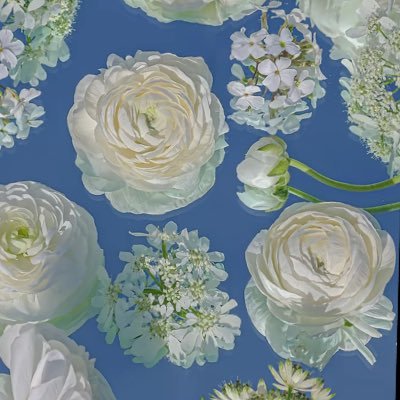 elsie_dim's profile picture. A ray of sunshine in her own world