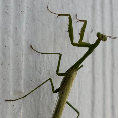 Prayingman75413's profile picture. 