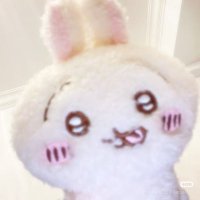 bao (@fishbaos) 's Twitter Profile Photo bao (@fishbaos) 's Twitter Profile Photo
