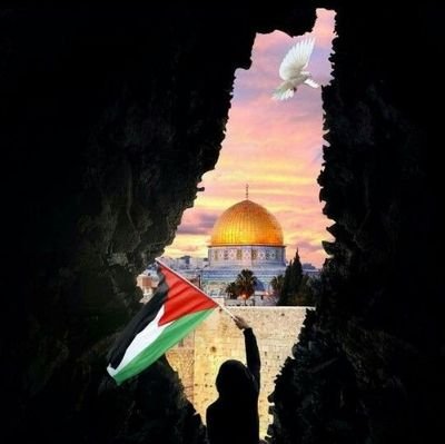 nrnabilahrahman's profile picture. Adorable sister to A 🧕🏼
Food is my bestfriend 😋
Book is my healing 📚