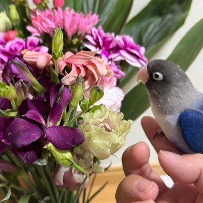 ザキ@🌹ご縁に感謝💐さんのプロフィール画像