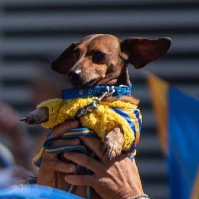 flexxidol Profile Picture