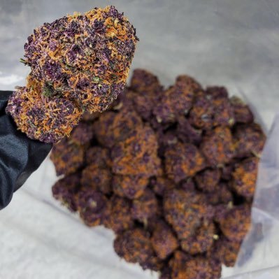 weedlovas420's profile picture. A grower and father of 2 follow us like ,retweet &join our telegram for free weed giveaway, we ship worldwide don’t miss out on our TD reviews on telegram 👇