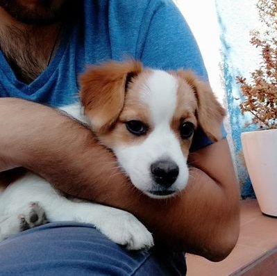 ConelyLupi88607's profile picture. 