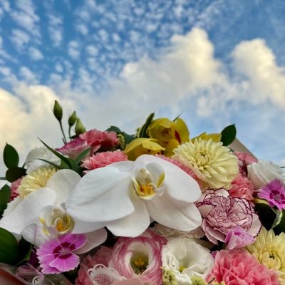 Green44ne's profile picture. 書道家/自然愛好家/6500食口/家族愛/四大心情圏を大切にしています💐信教の自由&N.A.B.I を応援📣時代劇、映画、ドラマアニメ鑑賞🎞️スポーツ⛳️꽃과동물그리고 자연이 너무좋아🌲 日本を愛する韓国出身🇰🇷🇯🇵Green根は韓国語で그린내、最愛の人という意味です💚