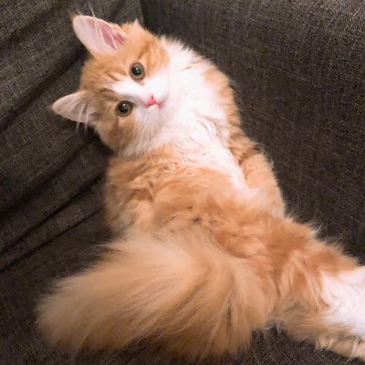 dPo0UaEkL52662's profile picture. YouTubeディレクション・動画編集／SNSマーケティング／LINE構築 etc.. 世界観を整え、発信を育てるサポートをしています🍃