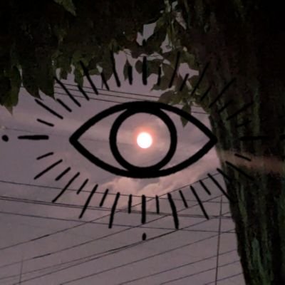 Rolling_Cat08's profile picture. │キタニタツヤ│
the cabs│Dios│ツミキ│邦ロ,オルタナ,ボカロetc.│雑多│高校生♂│@NEKOsub08│ちょびっとベース│ころがるねこでした