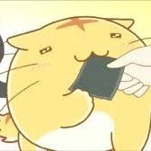 junpu549232's profile picture. 