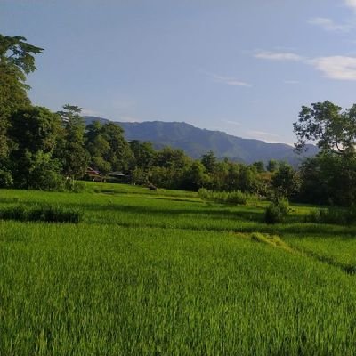 umlnep's profile picture. केही छैन ।