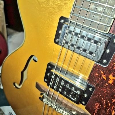 🎸 Sharing #guitar #bass #drums #gear content
#followback 💯 block #bots 🚫
follow👇
other account:
@PunkRockClub