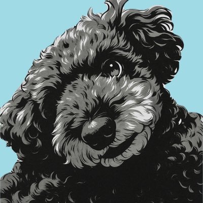 444Walking's profile picture. SwiftUI でアプリ開発。#個人開発　#英語学習