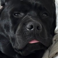 FMЁ (@mtmf__23) 's Twitter Profile