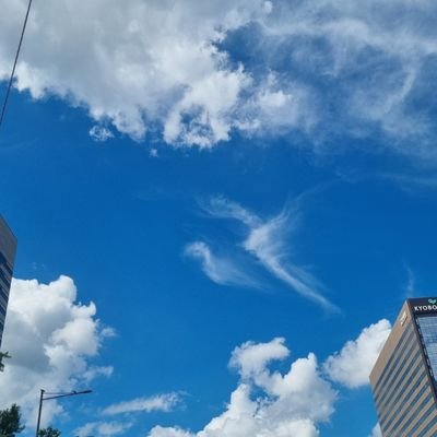 tongtong_bal's profile picture. 