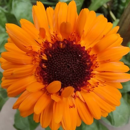 paugomezpg7's profile picture. 