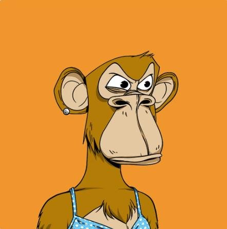 CoreneJa33449's profile picture. 