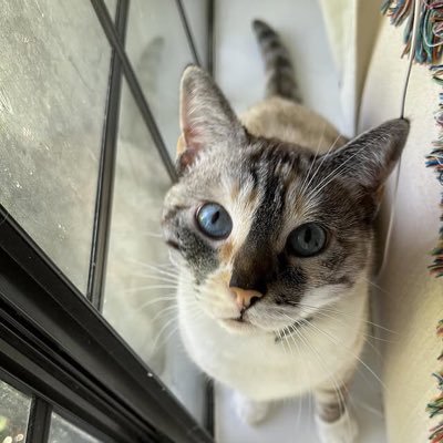 roland78845's profile picture. FAKING A SMILE IS SO MUCH EASIER THAN EXPLAINING WHY YOU ARE SAD