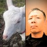Blue_runnerD's profile picture. 父子家庭で娘がおります。
その辺のオジです。
反日とアベガーが嫌いです。
是々非々で申し上げます。
いいねは「見たよ」も含まれます。
釣りと音楽が好きです。

あ、そうだ。
スパイってスパイ防止法の話をしたら猛反対して反応を示してくれる人のことですか？