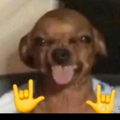 Gbsantaella's profile picture. Cargando