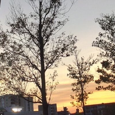 sugarCanonS's profile picture. ヒプマイ用アカウント。成人。
あまりにも沼った。
乱数推しです。
だいたい考察。