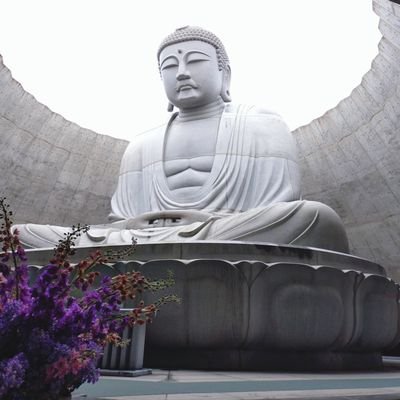 remon880088's profile picture. 旅行が好きだよ
今年も色々な場所に🚗行くぞ！
旅先グルメ🍜🍣🍺🍧🍛が楽しみ