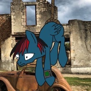 Just an another wasteland pony wondering the wasteland M | 29 #falloutequestria