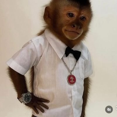 favorite_tears's profile picture. 