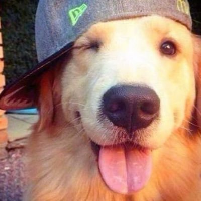 infuofhont's profile picture. #dek69 — log buu ♡₊˚ 🦢・₊make friends dm 24/7 ♪ ✧🤍☁️‧₊˚♡𓂃 ࣪