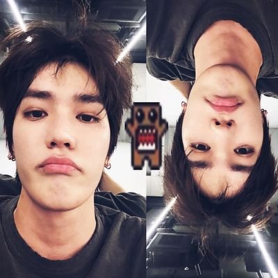 𓆞 .☘︎ ܁ 🚌 and if a double-decker bus ⋆˚🐾˖° crashes into us to die with #taeyong🌹‧₊˚is such a heavenly way to die𓇼𓏲 || #TYtrack #MoQeel