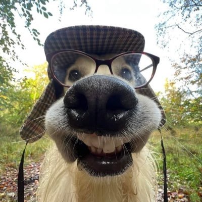 unbr0kensociety's profile picture. 