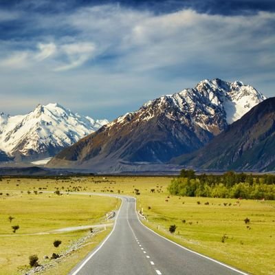 jdcalderonotero's profile picture. 