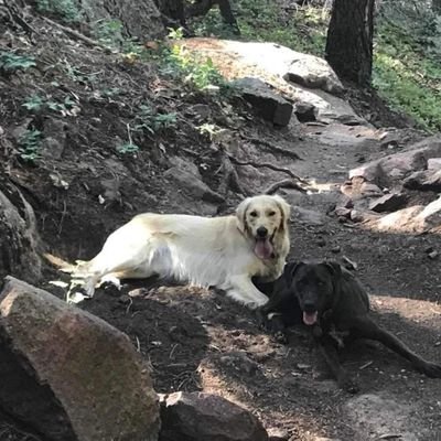 jessemctessy's profile picture. I am very sweet, loving, and caring. I love being outside and with animals.