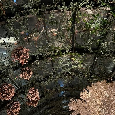 jhundeniable's profile picture. I’m me.