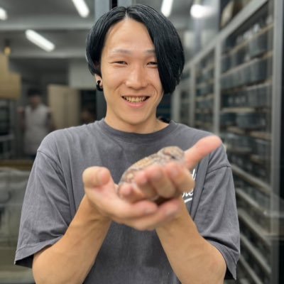 🦎 ニシアフリカトカゲモドキ専門ブリーダー 飼育・繁殖・販売/初心者〜ブリーダーまでサポート 🐾 “安心と彩りある飼育ライフ”をお届けします 📩 ご相談・お取引はDM or LINEからお気軽に 👉 #ニシアフ #爬虫類