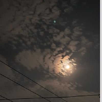 nishavibzz51747's profile picture. govt exam aspirant🎯