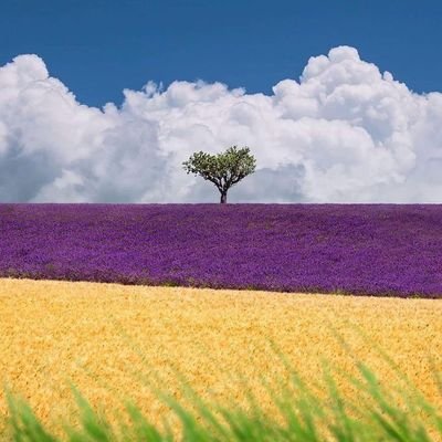 KiaKarimi353775's profile picture. با هم ماندگار باشیم نه یادگار