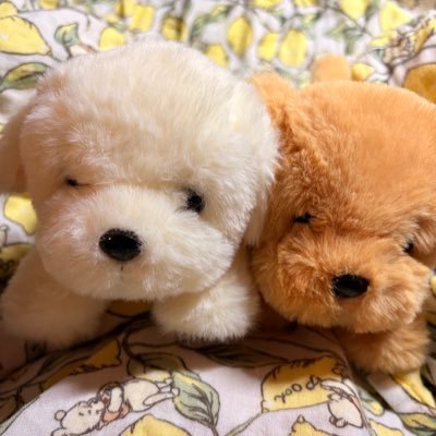 amenoumir's profile picture. 