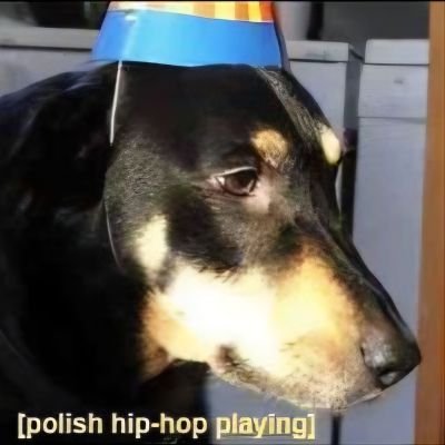 leszczon's profile picture. average cs:go enjoyer