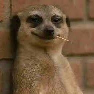 CptTrung's profile picture. 