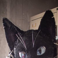 ネヴィ/Nevy (@kuronekonevy) 's Twitter Profile Photo ネヴィ/Nevy (@kuronekonevy) 's Twitter Profile Photo