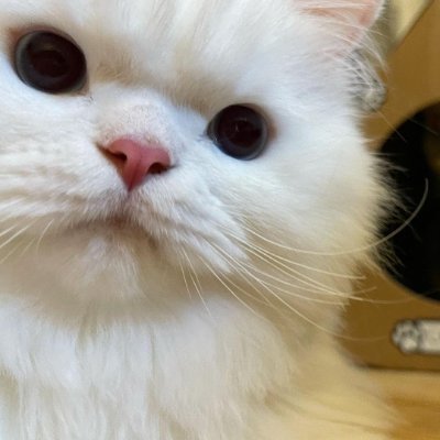 rrfdg86697688's profile picture. 