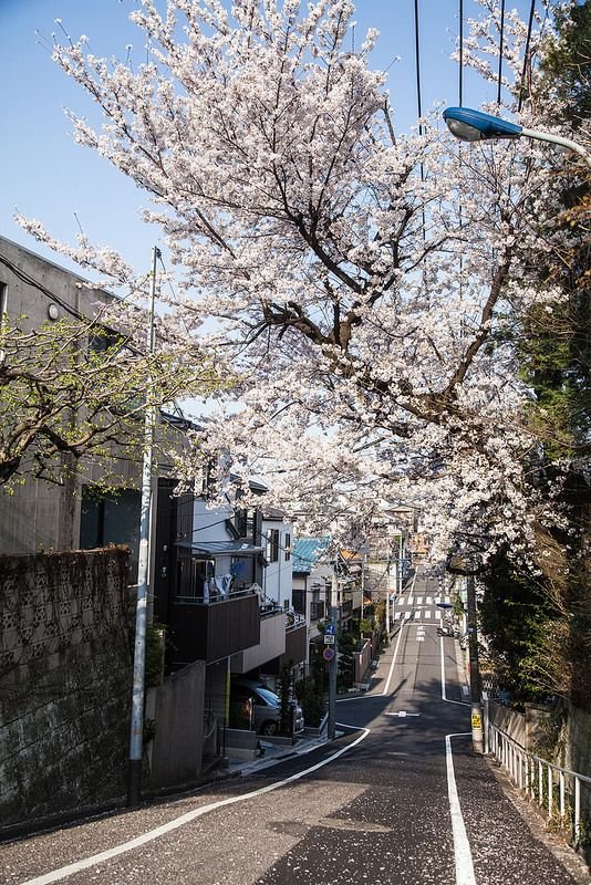 家族と過ごす時間が一番大事です