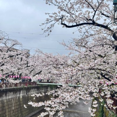 ztigl24252352's profile picture. 挑戦することに遅すぎる年齢なんてない。